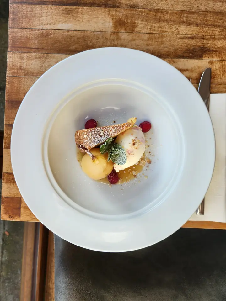 A plated dessert with sorbet, cream and berries in a wide white bowl